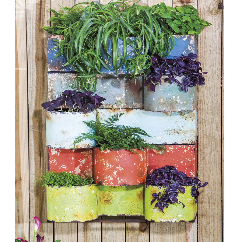 Evergreen Enterprises, Inc Metal Wall Planter & Reviews | Wayfair.ca